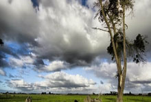 2024-2025赛季西甲最新排名是怎样的？各队表现有哪些亮点与悬念？